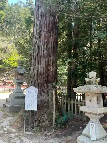 宇太水分神社（中社）の{uncategorized: "未分類", other: "その他", undefined: "問題あり", building: "その他建物", grave: "お墓", sacred_gate: "鳥居", guardian: "狛犬", statue: "像", buddha: "仏像", history: "歴史", nature: "自然", garden: "庭園", animal: "動物", pagoda: "塔", temizu: "手水舎", mountain_gate: "山門・神門", sanctuary: "本殿・本堂", subordinate: "末社・摂社", art: "芸術", scenery: "景色", jizo: "地蔵", ema: "絵馬", goshuin: "御朱印", omikuji: "おみくじ", items: "授与品その他", amulet: "お守り", goshuincho: "御朱印帳", eats: "食事", festival: "お祭り", votive_dance: "神楽", shichigosan: "七五三参", wedding: "結婚式", experience: "体験その他", initially: "初詣", around: "周辺", anti_infection: "感染症対策"}