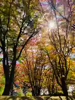 土津神社|こどもと出世の神さまの自然