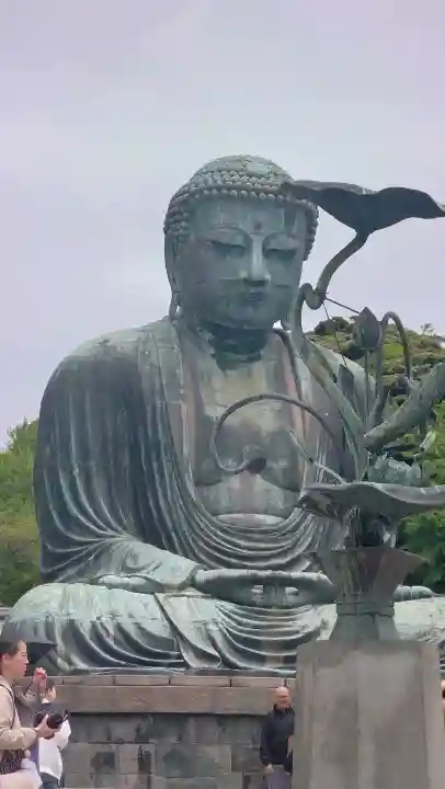 高徳院の{uncategorized: "未分類", other: "その他", undefined: "問題あり", building: "その他建物", grave: "お墓", sacred_gate: "鳥居", guardian: "狛犬", statue: "像", buddha: "仏像", history: "歴史", nature: "自然", garden: "庭園", animal: "動物", pagoda: "塔", temizu: "手水舎", mountain_gate: "山門・神門", sanctuary: "本殿・本堂", subordinate: "末社・摂社", art: "芸術", scenery: "景色", jizo: "地蔵", ema: "絵馬", goshuin: "御朱印", omikuji: "おみくじ", items: "授与品その他", amulet: "お守り", goshuincho: "御朱印帳", eats: "食事", festival: "お祭り", votive_dance: "神楽", shichigosan: "七五三参", wedding: "結婚式", experience: "体験その他", initially: "初詣", around: "周辺", anti_infection: "感染症対策"}