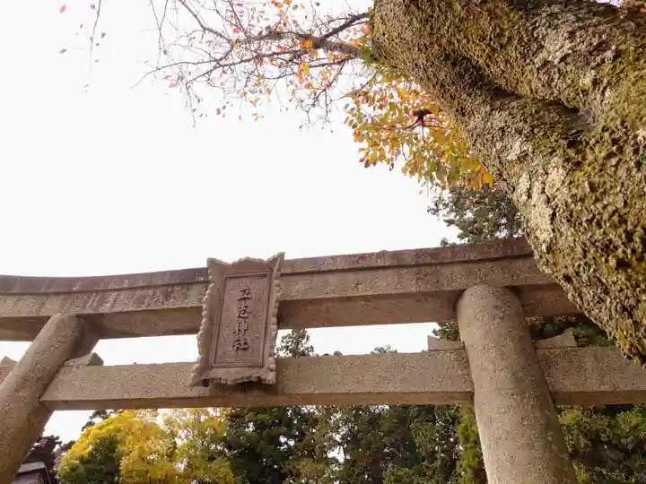 立志神社の鳥居
