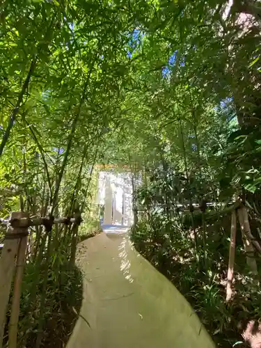 來宮神社の自然