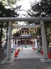 新琴似神社の鳥居