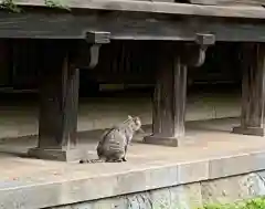 淨眞寺(東京都)