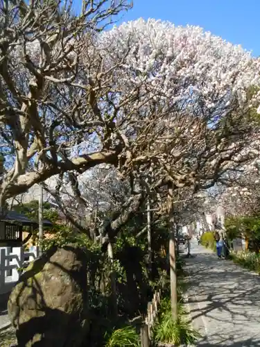 宝戒寺の景色