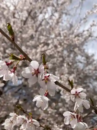 実相寺(山梨県)