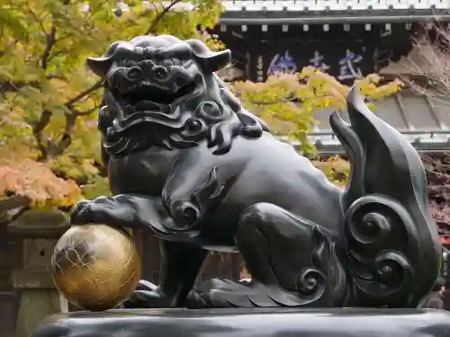 豪徳寺の狛犬