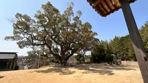 志筑神社(兵庫県)