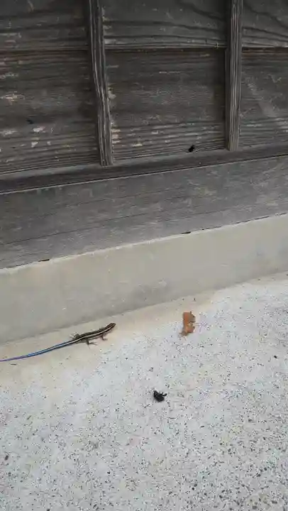 不動寺(埼玉県)