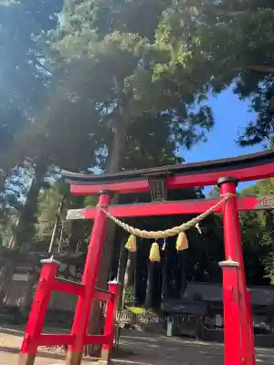 戸隠神社の{uncategorized: "未分類", other: "その他", undefined: "問題あり", building: "その他建物", grave: "お墓", sacred_gate: "鳥居", guardian: "狛犬", statue: "像", buddha: "仏像", history: "歴史", nature: "自然", garden: "庭園", animal: "動物", pagoda: "塔", temizu: "手水舎", mountain_gate: "山門・神門", sanctuary: "本殿・本堂", subordinate: "末社・摂社", art: "芸術", scenery: "景色", jizo: "地蔵", ema: "絵馬", goshuin: "御朱印", omikuji: "おみくじ", items: "授与品その他", amulet: "お守り", goshuincho: "御朱印帳", eats: "食事", festival: "お祭り", votive_dance: "神楽", shichigosan: "七五三参", wedding: "結婚式", experience: "体験その他", initially: "初詣", around: "周辺", anti_infection: "感染症対策"}