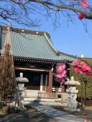 龍安寺の本殿・本堂