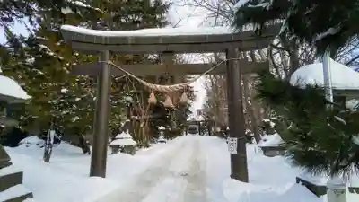 信濃神社の鳥居