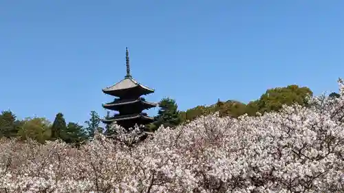 仁和寺(京都府)