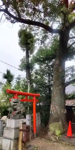 羊神社(愛知県)