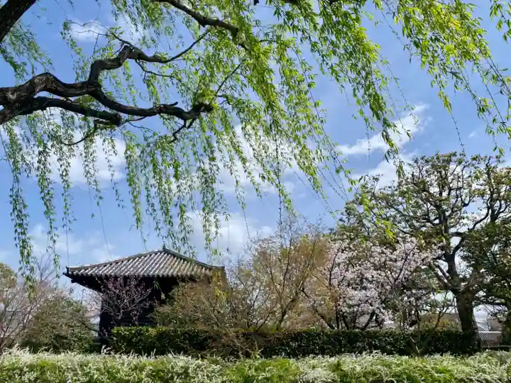 東寺(教王護国寺)(京都府)