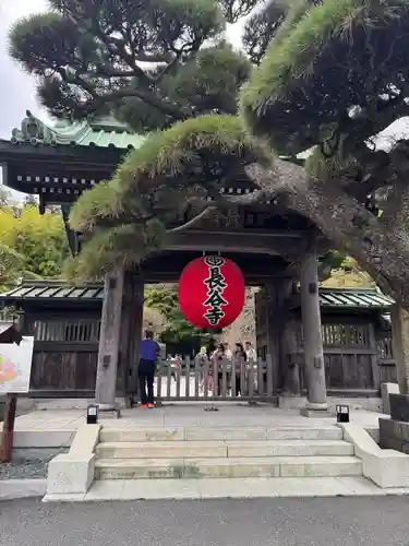 長谷寺の山門