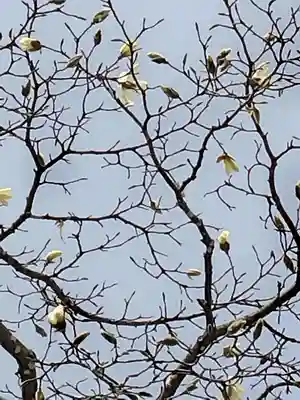 厚別神社(北海道)