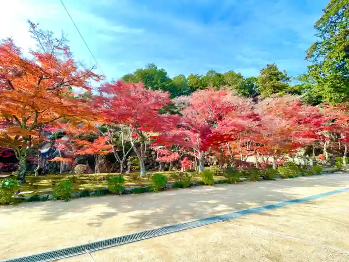 瓦屋寺(滋賀県)