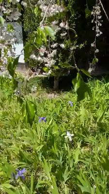 得浄明院(善光寺別院)(京都府)