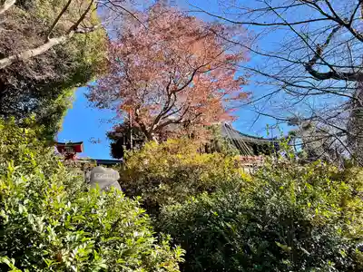 清水観音堂(東京都)