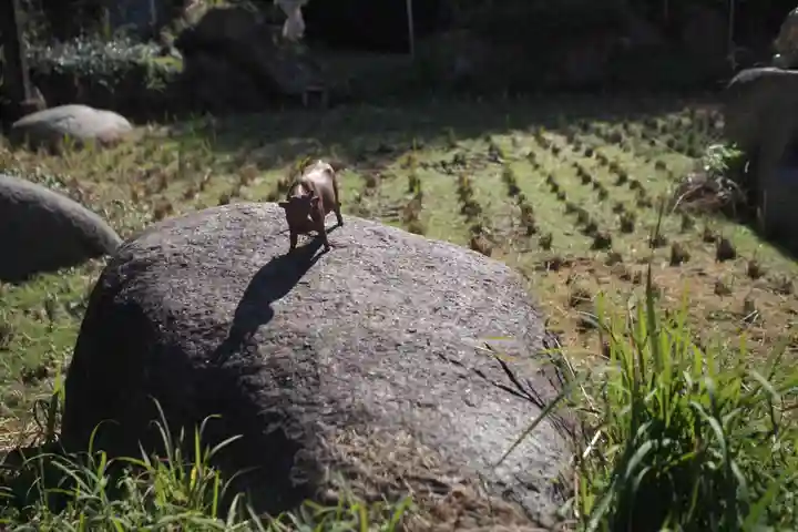 岐阜護國神社のその他建物
