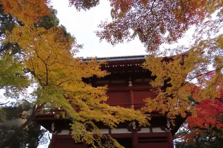 本土寺のその他建物