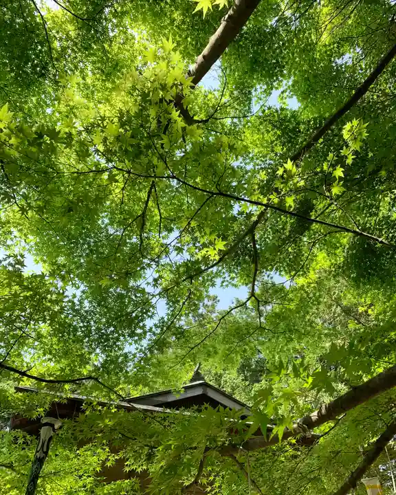 滑川神社 - 仕事と子どもの守り神(福島県)