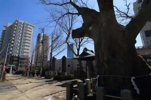 阿邪訶根神社の景色