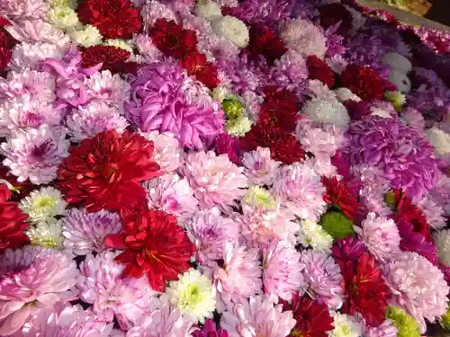 横浜　西方寺の手水舎