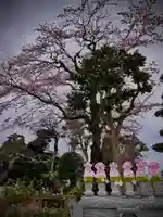 光明寺(静岡県)