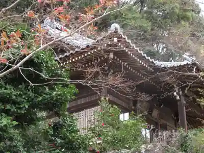 勝持寺(花の寺)の本殿・本堂