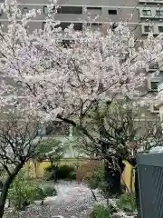 東光寺の自然