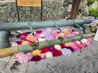 岡寺(龍蓋寺)(奈良県)