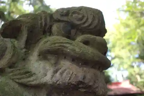 塙田八幡宮の狛犬