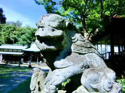 畑子安神社の狛犬