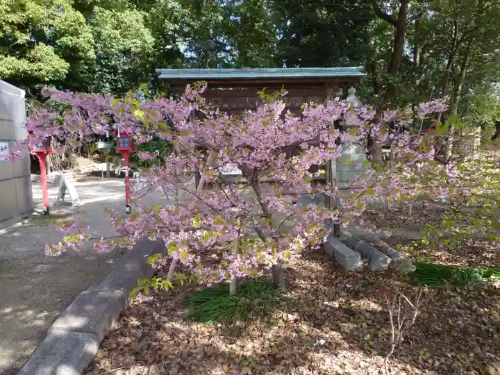 都波岐奈加等神社の自然