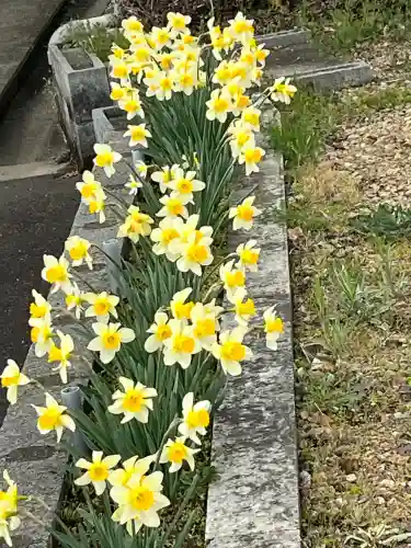 林陽寺の{uncategorized: "未分類", other: "その他", undefined: "問題あり", building: "その他建物", grave: "お墓", sacred_gate: "鳥居", guardian: "狛犬", statue: "像", buddha: "仏像", history: "歴史", nature: "自然", garden: "庭園", animal: "動物", pagoda: "塔", temizu: "手水舎", mountain_gate: "山門・神門", sanctuary: "本殿・本堂", subordinate: "末社・摂社", art: "芸術", scenery: "景色", jizo: "地蔵", ema: "絵馬", goshuin: "御朱印", omikuji: "おみくじ", items: "授与品その他", amulet: "お守り", goshuincho: "御朱印帳", eats: "食事", festival: "お祭り", votive_dance: "神楽", shichigosan: "七五三参", wedding: "結婚式", experience: "体験その他", initially: "初詣", around: "周辺", anti_infection: "感染症対策"}