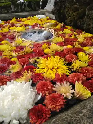 曹洞宗 永松山 龍泉寺の手水舎