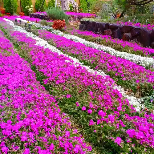 寿量山　速成寺(奈良県)