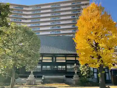 泊船軒(東京都)