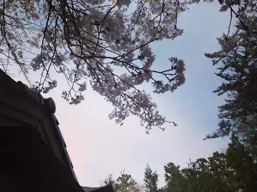 滑川神社 - 仕事と子どもの守り神の景色