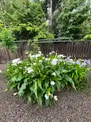 沙沙貴神社の自然