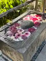 所澤神明社の手水舎