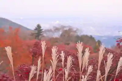 大山阿夫利神社(神奈川県)