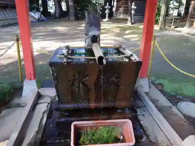 開運招福 飯玉神社(群馬県)