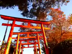 足利織姫神社(栃木県)