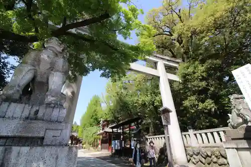 秩父神社の鳥居