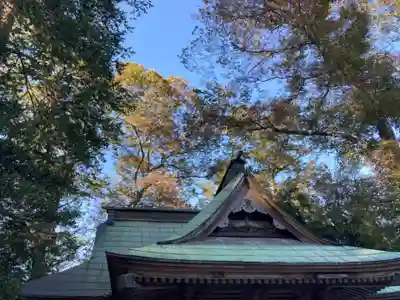息栖神社の本殿・本堂