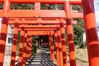 天杢稲荷神社の鳥居
