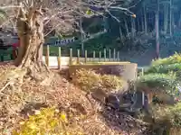 白狐山光星寺(山形県)