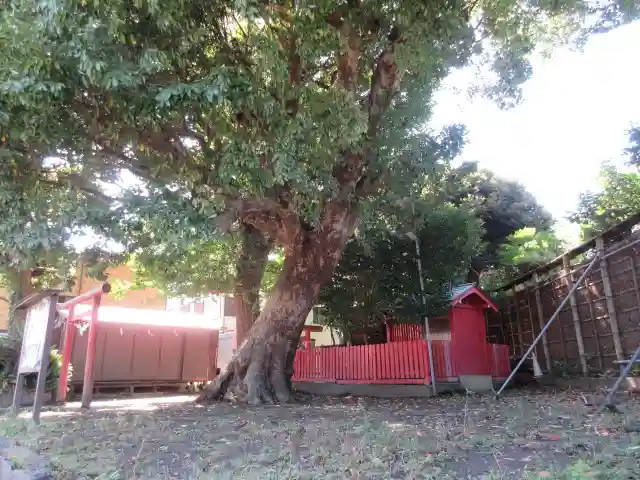 正一位稲荷大明神(築山稲荷社)の景色
